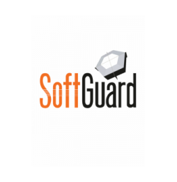 SGD2550008 SOFG-PLAN250 Plan soporte anual Full24 Softguard