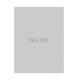 VIV0650016 LIC PARKING VIOLATION DETECTION...
